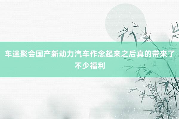 车迷聚会国产新动力汽车作念起来之后真的带来了不少福利