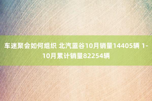 车迷聚会如何组织 北汽蓝谷10月销量14405辆 1-10月累计销量82254辆