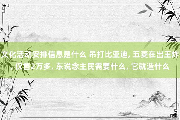 文化活动安排信息是什么 吊打比亚迪, 五菱在出王炸, 仅售2万多, 东说念主民需要什么, 它就造什么