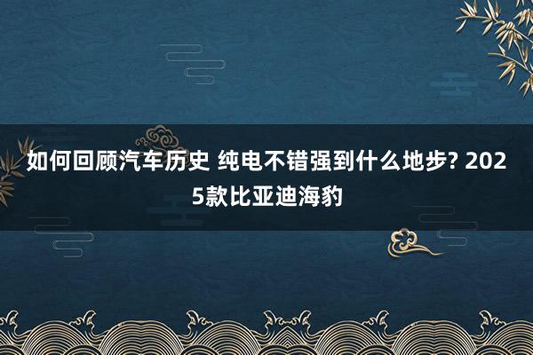 如何回顾汽车历史 纯电不错强到什么地步? 2025款比亚迪海豹