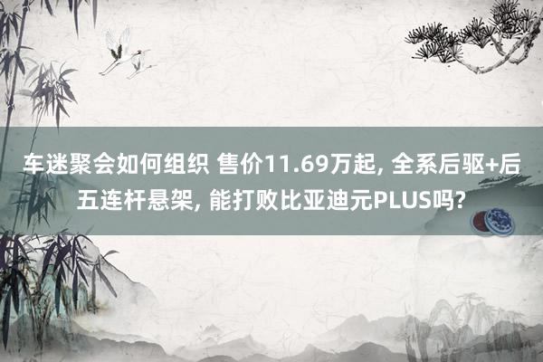 车迷聚会如何组织 售价11.69万起, 全系后驱+后五连杆悬架, 能打败比亚迪元PLUS吗?