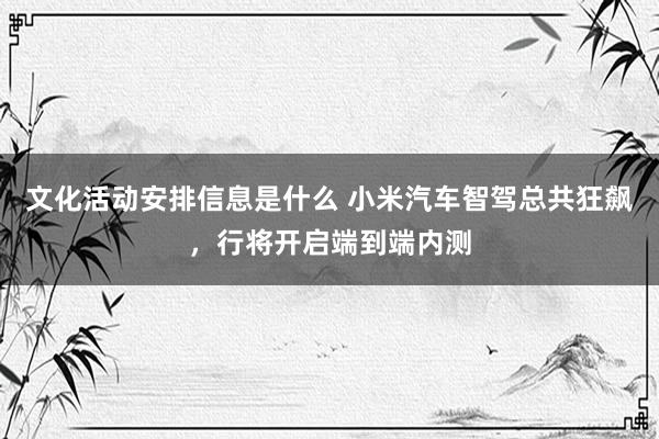 文化活动安排信息是什么 小米汽车智驾总共狂飙，行将开启端到端内测