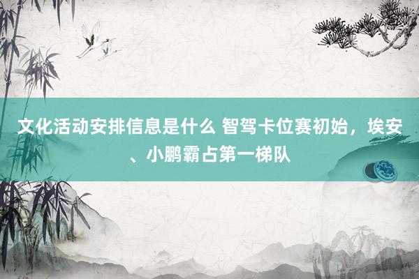 文化活动安排信息是什么 智驾卡位赛初始，埃安、小鹏霸占第一梯队