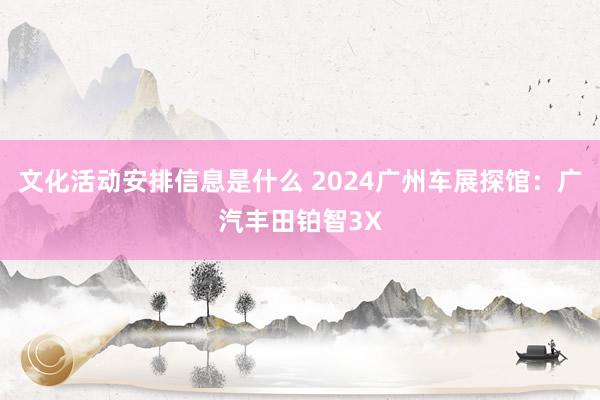 文化活动安排信息是什么 2024广州车展探馆：广汽丰田铂智3X