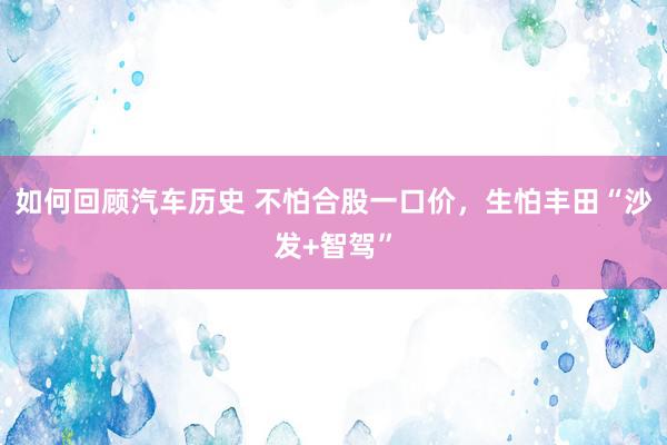 如何回顾汽车历史 不怕合股一口价，生怕丰田“沙发+智驾”