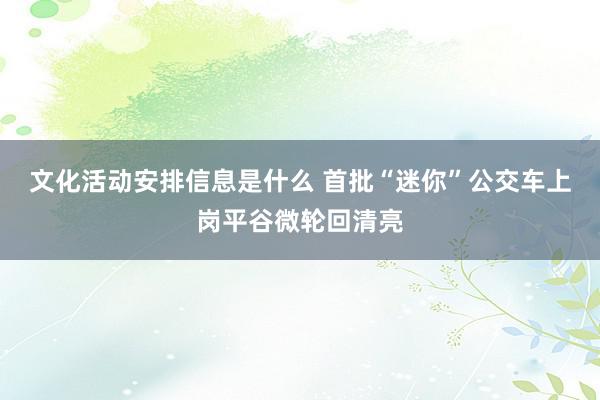 文化活动安排信息是什么 首批“迷你”公交车上岗平谷微轮回清亮