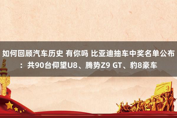 如何回顾汽车历史 有你吗 比亚迪抽车中奖名单公布：共90台仰望U8、腾势Z9 GT、豹8豪车