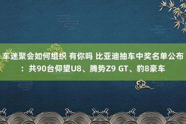 车迷聚会如何组织 有你吗 比亚迪抽车中奖名单公布：共90台仰望U8、腾势Z9 GT、豹8豪车