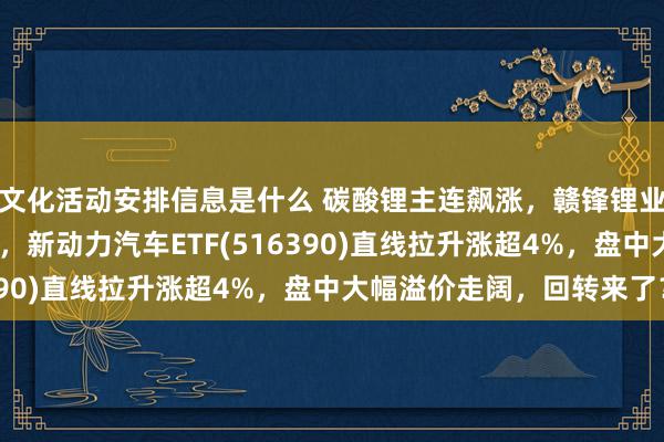 文化活动安排信息是什么 碳酸锂主连飙涨，赣锋锂业涨停、宁德时间涨3%，新动力汽车ETF(516390)直线拉升涨超4%，盘中大幅溢价走阔，回转来了？