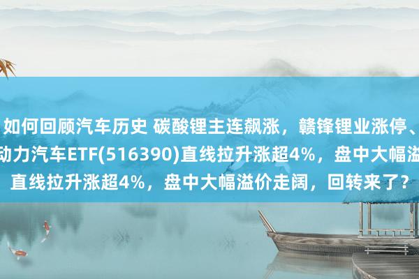 如何回顾汽车历史 碳酸锂主连飙涨，赣锋锂业涨停、宁德期间涨3%，新动力汽车ETF(516390)直线拉升涨超4%，盘中大幅溢价走阔，回转来了？