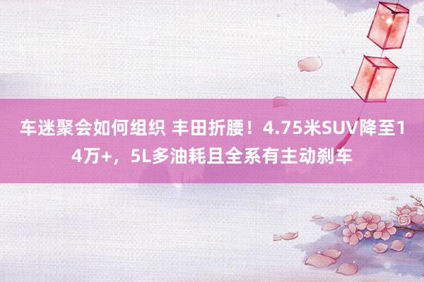 车迷聚会如何组织 丰田折腰！4.75米SUV降至14万+，5L多油耗且全系有主动刹车