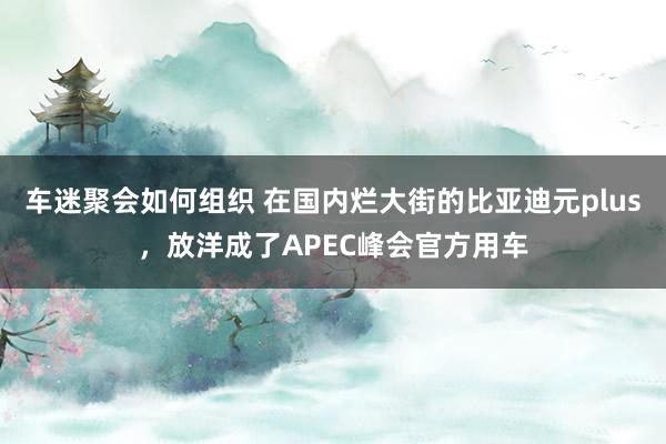 车迷聚会如何组织 在国内烂大街的比亚迪元plus，放洋成了APEC峰会官方用车