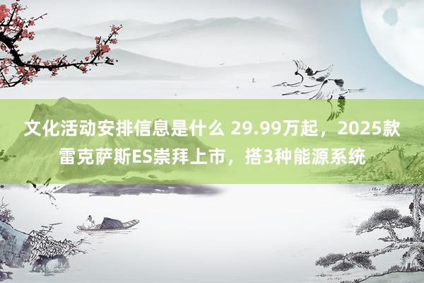 文化活动安排信息是什么 29.99万起，2025款雷克萨斯ES崇拜上市，搭3种能源系统