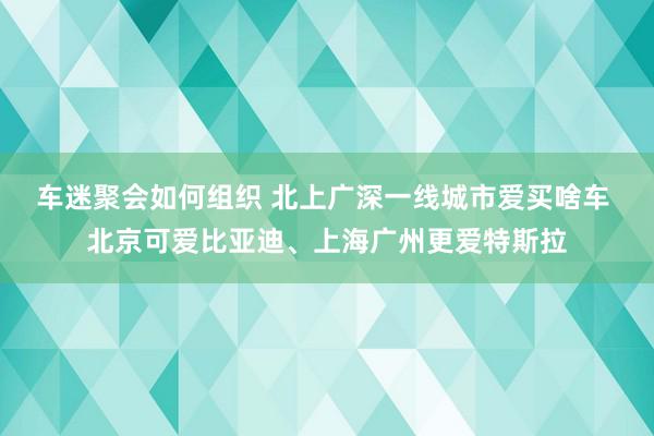 车迷聚会如何组织 北上广深一线城市爱买啥车 北京可爱比亚迪、上海广州更爱特斯拉