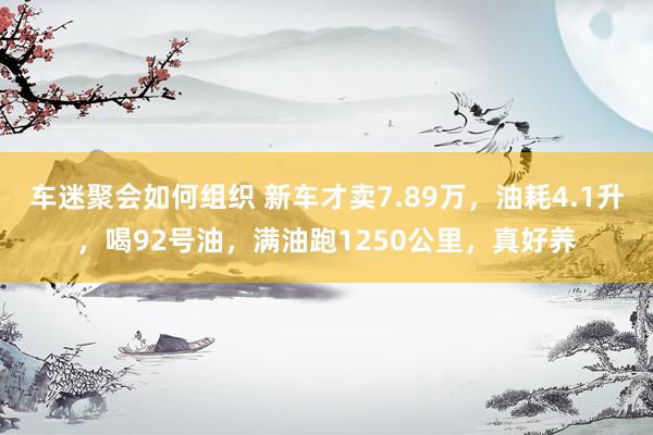 车迷聚会如何组织 新车才卖7.89万，油耗4.1升，喝92号油，满油跑1250公里，真好养