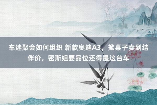 车迷聚会如何组织 新款奥迪A3，掀桌子卖到结伴价，密斯姐要品位还得是这台车