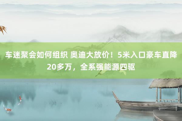 车迷聚会如何组织 奥迪大放价！5米入口豪车直降20多万，全系强能源四驱