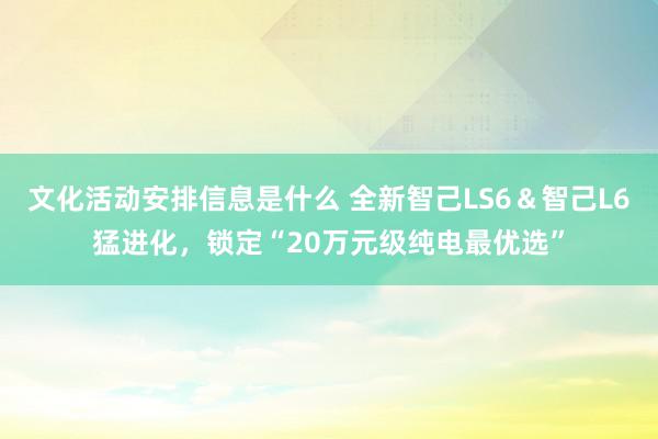 文化活动安排信息是什么 全新智己LS6＆智己L6猛进化，锁定“20万元级纯电最优选”