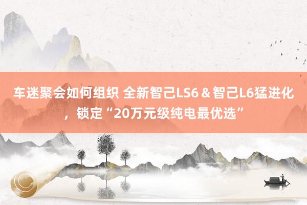 车迷聚会如何组织 全新智己LS6＆智己L6猛进化，锁定“20万元级纯电最优选”