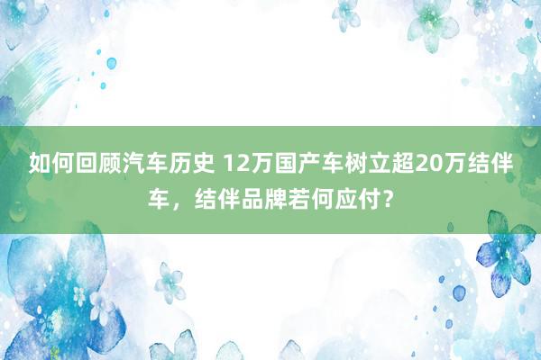 如何回顾汽车历史 12万国产车树立超20万结伴车，结伴品牌若何应付？