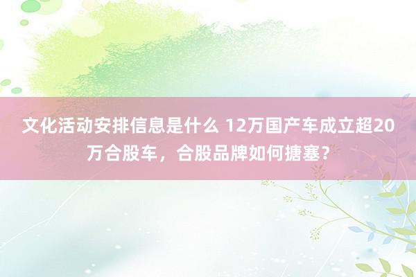 文化活动安排信息是什么 12万国产车成立超20万合股车，合股品牌如何搪塞？