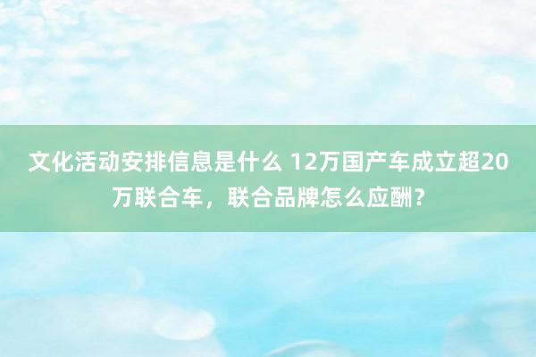 文化活动安排信息是什么 12万国产车成立超20万联合车，联合品牌怎么应酬？