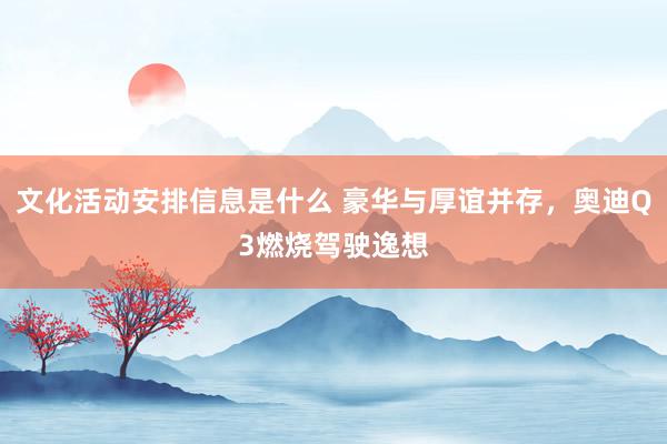 文化活动安排信息是什么 豪华与厚谊并存，奥迪Q3燃烧驾驶逸想