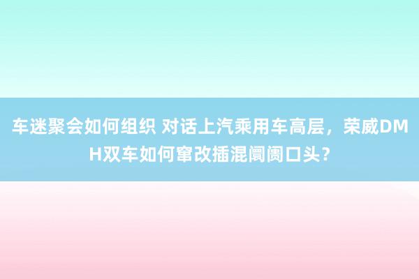 车迷聚会如何组织 对话上汽乘用车高层，荣威DMH双车如何窜改插混阛阓口头？