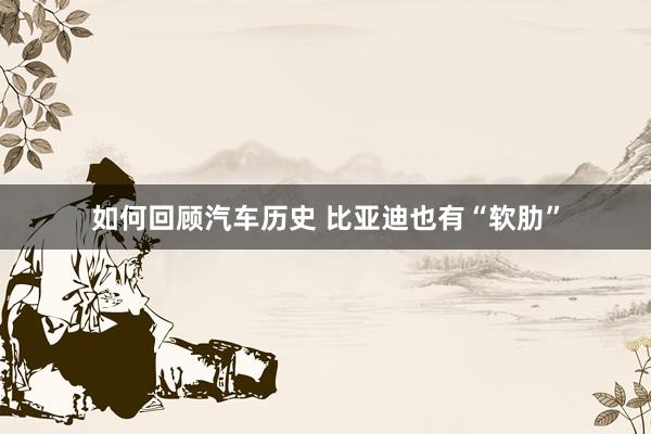 如何回顾汽车历史 比亚迪也有“软肋”