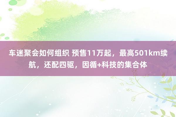 车迷聚会如何组织 预售11万起，最高501km续航，还配四驱，因循+科技的集合体