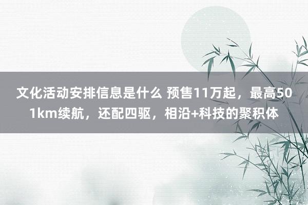 文化活动安排信息是什么 预售11万起，最高501km续航，还配四驱，相沿+科技的聚积体