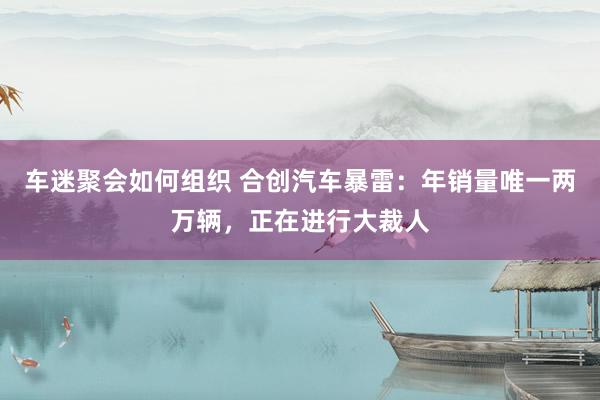 车迷聚会如何组织 合创汽车暴雷：年销量唯一两万辆，正在进行大裁人