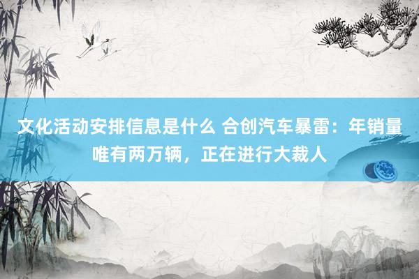 文化活动安排信息是什么 合创汽车暴雷：年销量唯有两万辆，正在进行大裁人