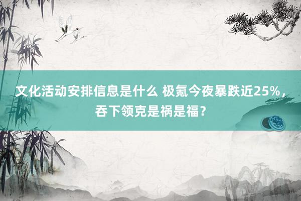 文化活动安排信息是什么 极氪今夜暴跌近25%，吞下领克是祸是福？