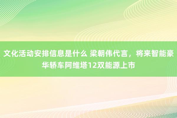 文化活动安排信息是什么 梁朝伟代言，将来智能豪华轿车阿维塔12双能源上市