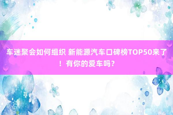 车迷聚会如何组织 新能源汽车口碑榜TOP50来了！有你的爱车吗？