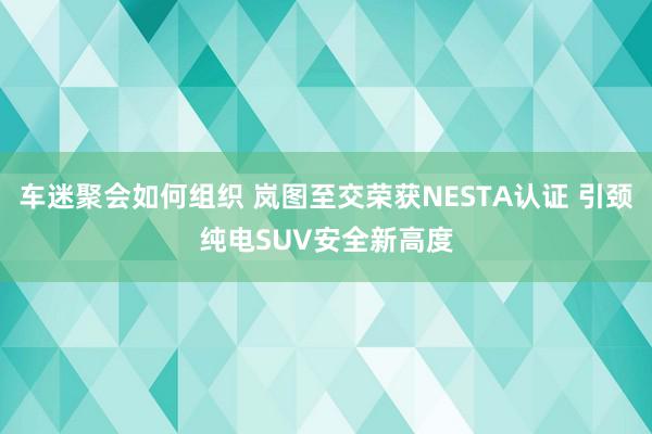 车迷聚会如何组织 岚图至交荣获NESTA认证 引颈纯电SUV安全新高度