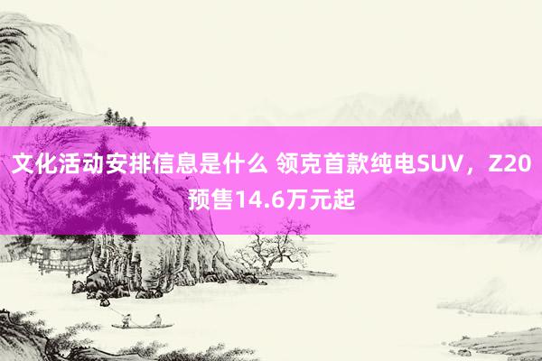 文化活动安排信息是什么 领克首款纯电SUV，Z20预售14.6万元起