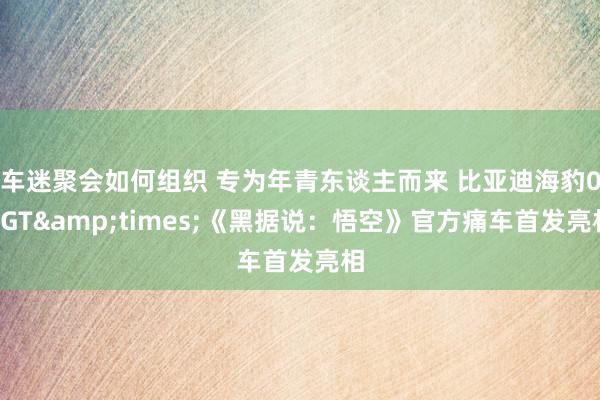 车迷聚会如何组织 专为年青东谈主而来 比亚迪海豹06GT&times;《黑据说：悟空》官方痛车首发亮相