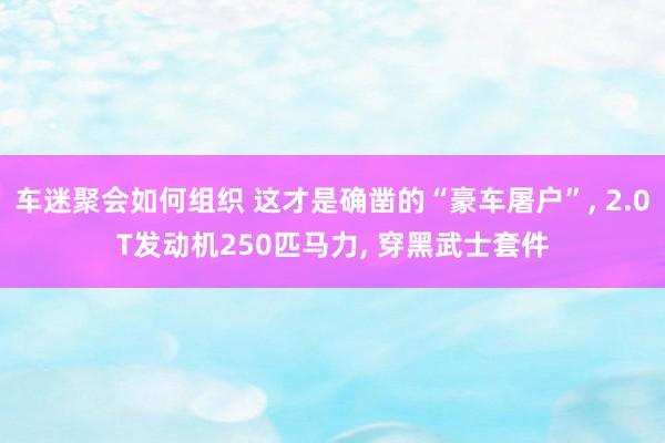 车迷聚会如何组织 这才是确凿的“豪车屠户”, 2.0T发动机250匹马力, 穿黑武士套件