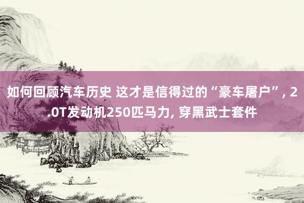 如何回顾汽车历史 这才是信得过的“豪车屠户”, 2.0T发动机250匹马力, 穿黑武士套件