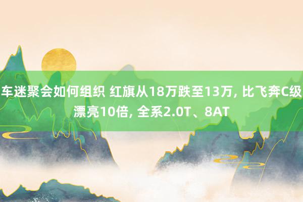 车迷聚会如何组织 红旗从18万跌至13万, 比飞奔C级漂亮10倍, 全系2.0T、8AT