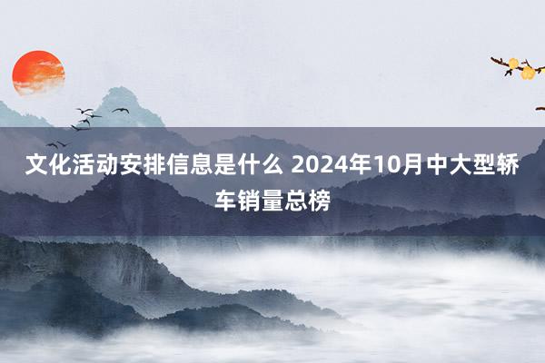 文化活动安排信息是什么 2024年10月中大型轿车销量总榜