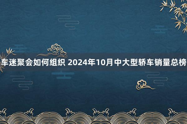 车迷聚会如何组织 2024年10月中大型轿车销量总榜