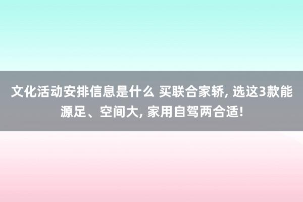 文化活动安排信息是什么 买联合家轿, 选这3款能源足、空间大, 家用自驾两合适!