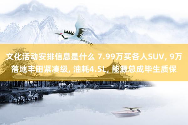 文化活动安排信息是什么 7.99万买各人SUV, 9万落地丰田紧凑级, 油耗4.5L, 能源总成毕生质保