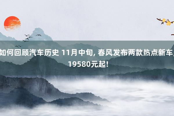 如何回顾汽车历史 11月中旬, 春风发布两款热点新车, 19580元起!