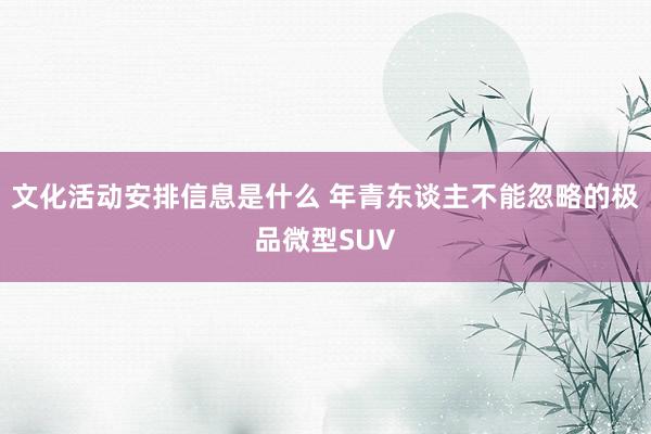 文化活动安排信息是什么 年青东谈主不能忽略的极品微型SUV