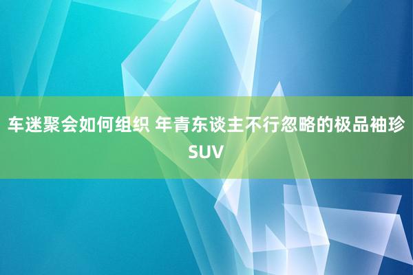 车迷聚会如何组织 年青东谈主不行忽略的极品袖珍SUV