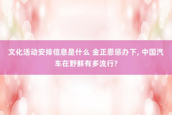 文化活动安排信息是什么 金正恩惩办下, 中国汽车在野鲜有多流行?